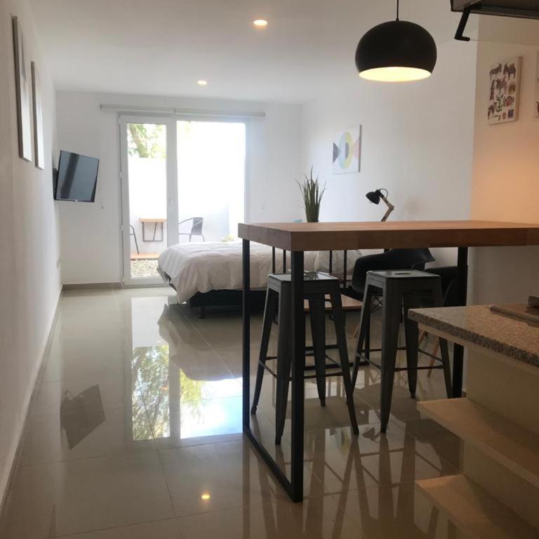 Penguins Flats 4 - Standard Studio - 13