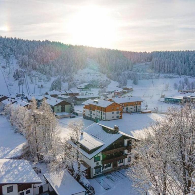 Bergidyll Ramsau Top7 - Appartement 1 Chambre - 2