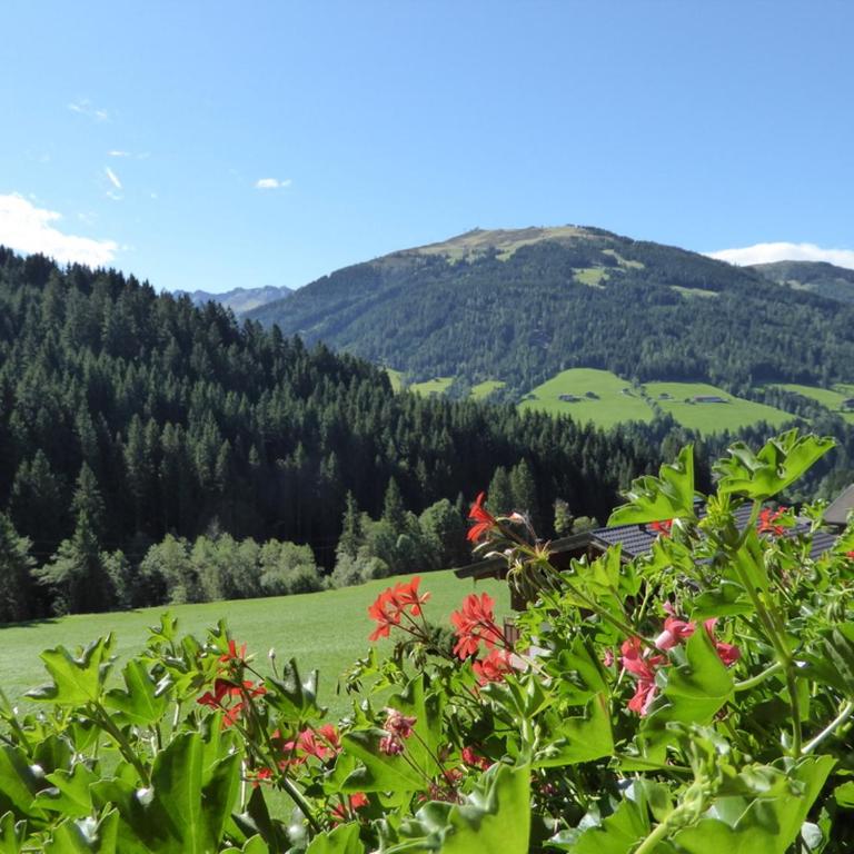 Alpbacher Appartementhaus Johannes - Apartment mit 3 Schlafzimmern - 2