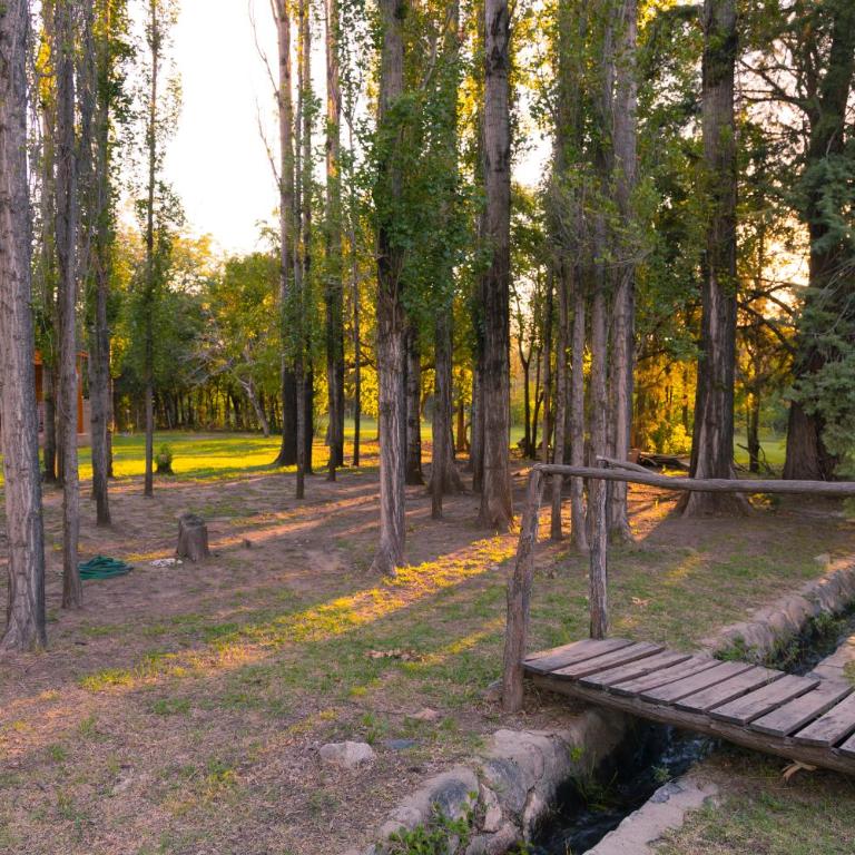 La Casa de Don Pepe - Cabaña con vistas al jardín - 9