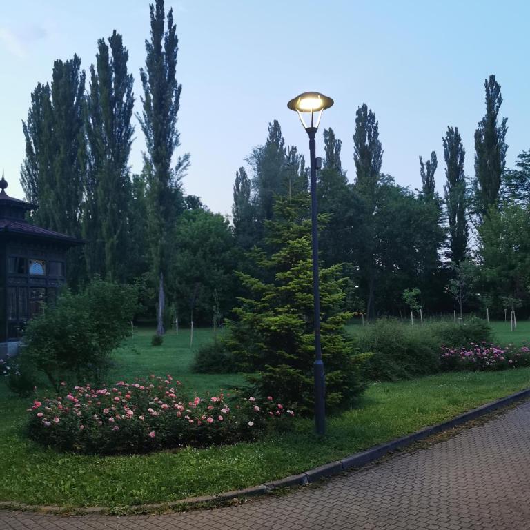 Apartmani Iva - Apartman sa 1 Spavaćom Sobom - 2
