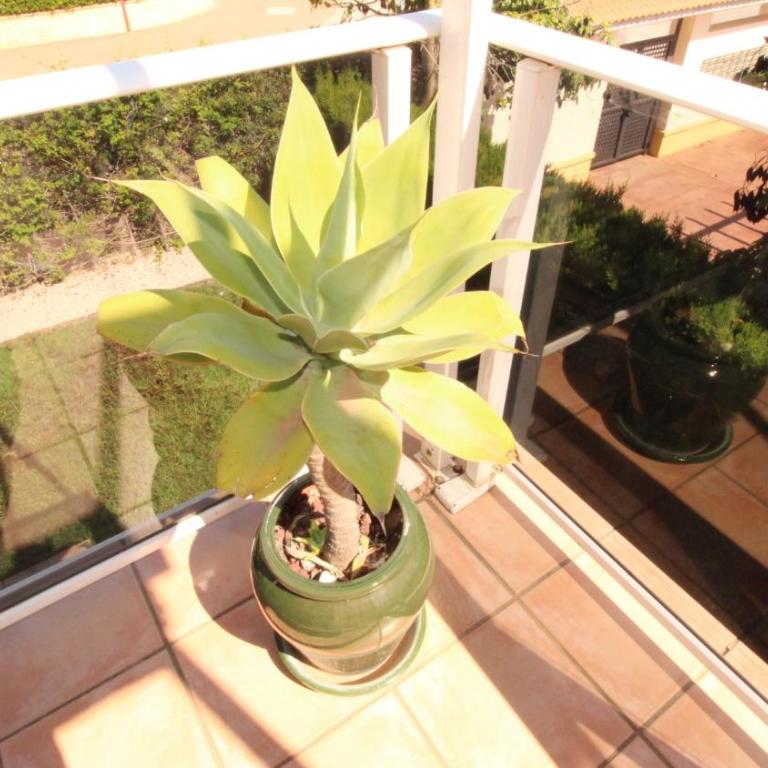 Masia del Arenal - Apartamento de 3 dormitorios - 10