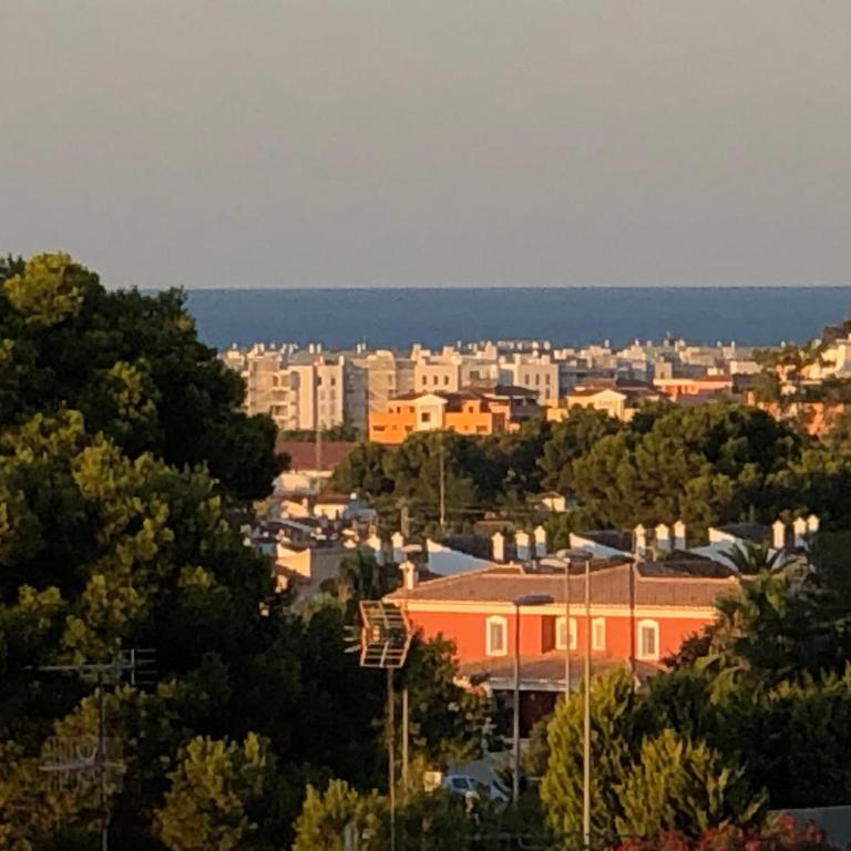 Apartemento Monika Monte Pedrera C 4 TOP Aussicht - Apartamento de 2 dormitorios - 19