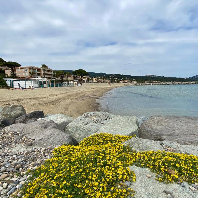 Studio 150 m de plage Golfe de Saint-Tropez - Studio with Sofa Bed - 17