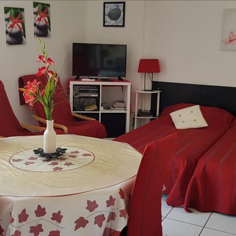 Superbe studio résidence le Galion 81 - Studio - Vue sur Montagne - 1