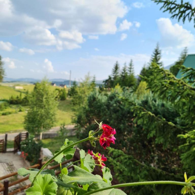 Mountain Star - Three-Bedroom House - 17