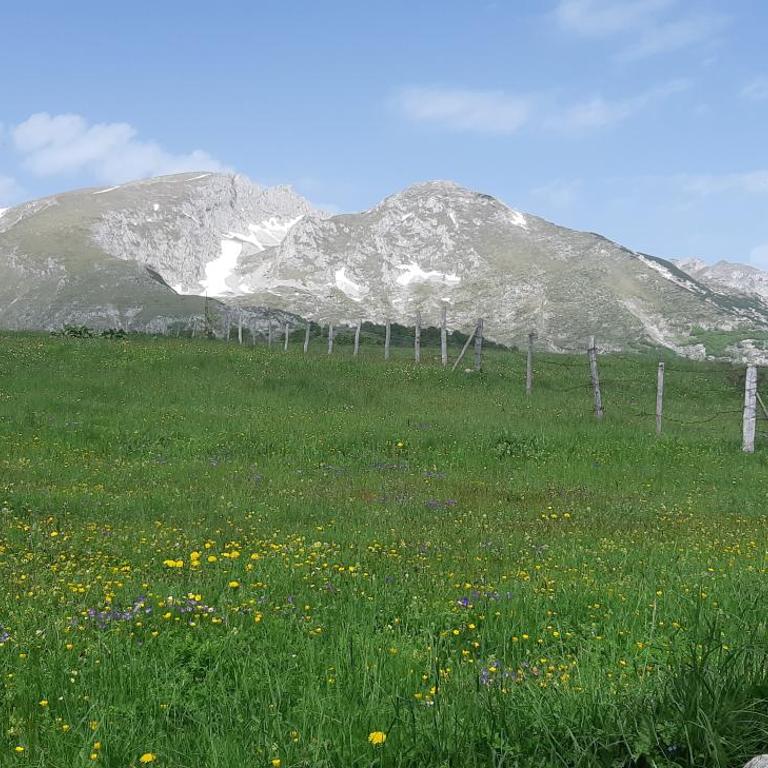 Durmitorski konak - Vacation Home - 21
