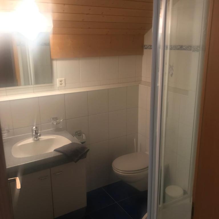 Studio Central Grindelwald - Apartment mit 1 Schlafzimmer - 7