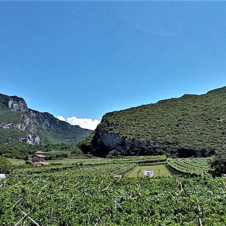La Masera Holiday - Vigneto - Two-Bedroom Apartment - 2