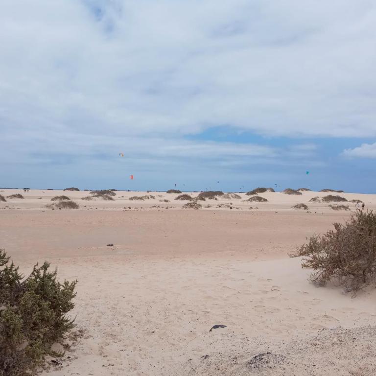 La flor del Atlantico - Apartamento de 3 dormitorios - 41