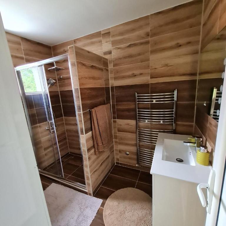 Apartman Boskovic - Apartman sa 1 Spavaćom Sobom - 14