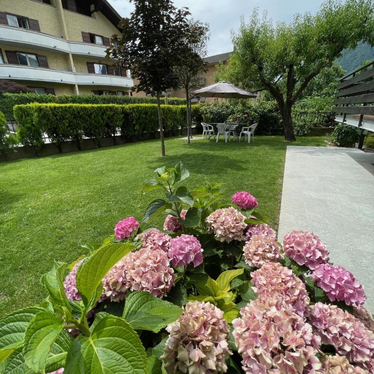 Casa Dolce Casa - Appartamento - 13