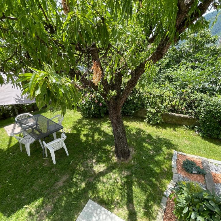 Casa Dolce Casa - Appartamento - 6