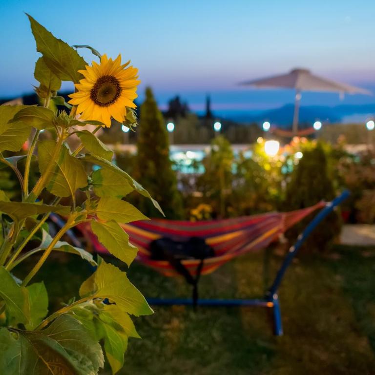 VILLA MILENA - Studio Apartment - 29