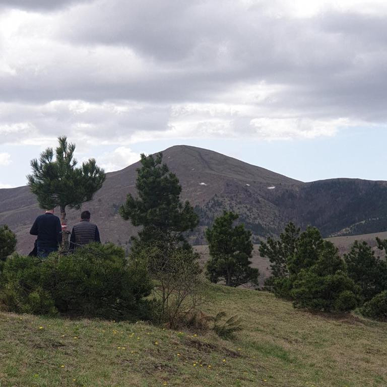 Strela apartman Zlatibor - Apartman sa 1 Spavaćom Sobom - 42