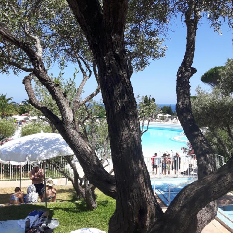 Cap Esterel studio H3 - Appartement 1 Chambre - 4