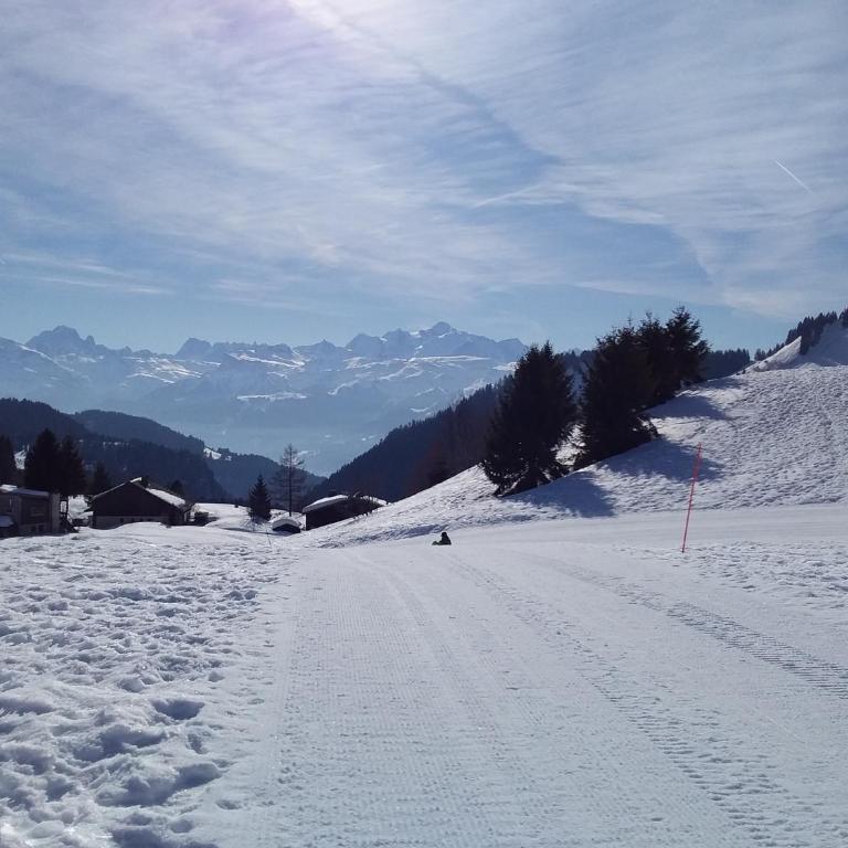 Les Terrasses du Mont blanc - Appartement avec Balcon - 11