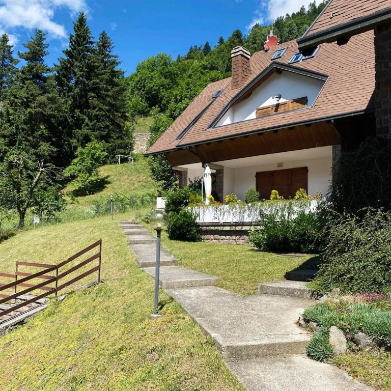 Betulla House - AffittiPontediLegno - Appartamento - 12