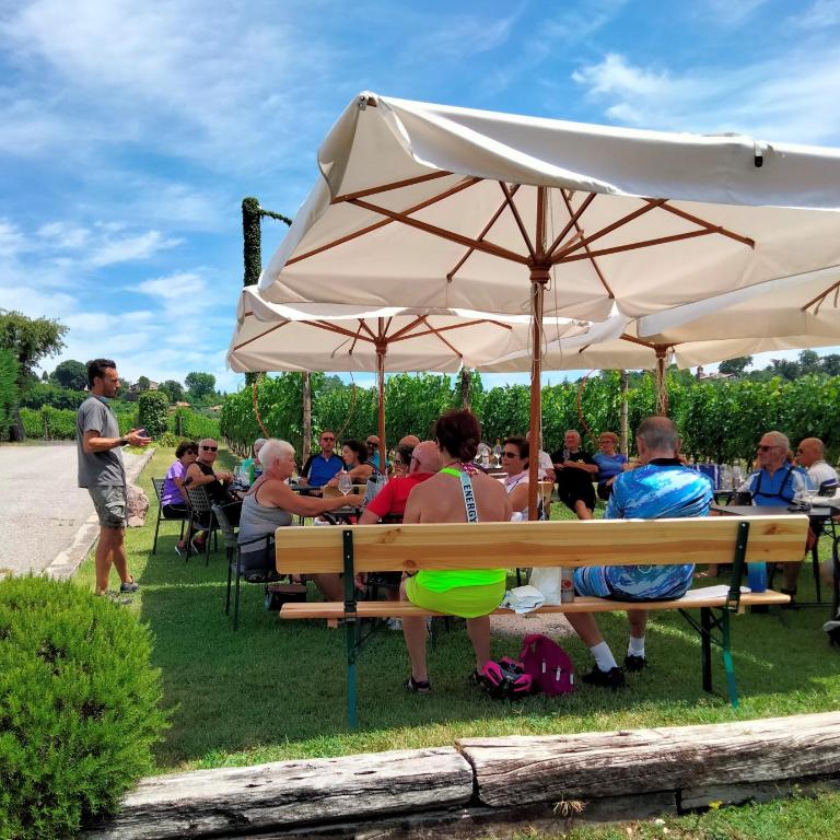 Agriturismo Le Ginestre - Appartamento con 1 Camera da Letto - 33