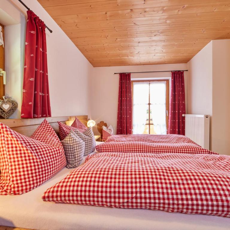 Ferienwohnungen Pfanzelter - Ferienwohnung mit Bergblick - 11