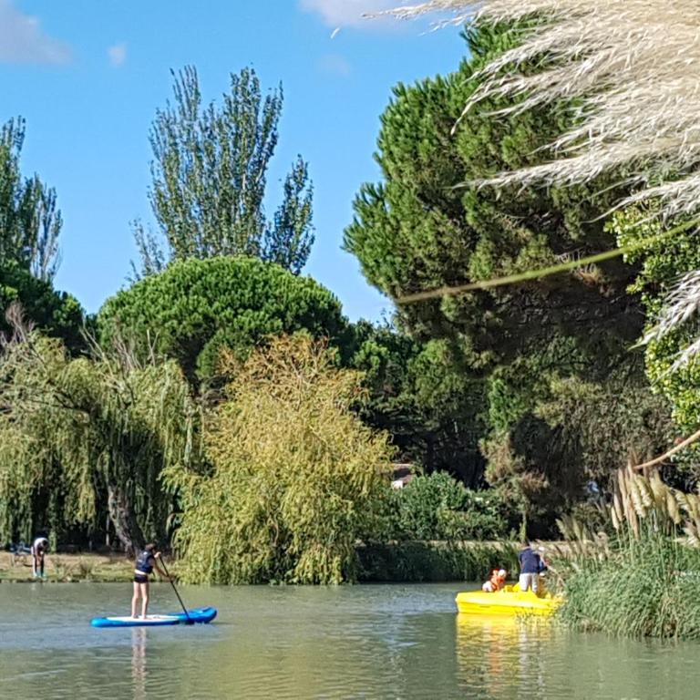 La vue sur le lac - Apartment mit 1 Schlafzimmer - 30