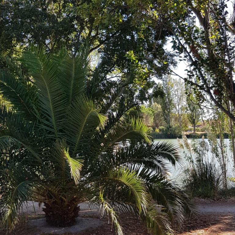 La vue sur le lac - Apartment mit 1 Schlafzimmer - 28