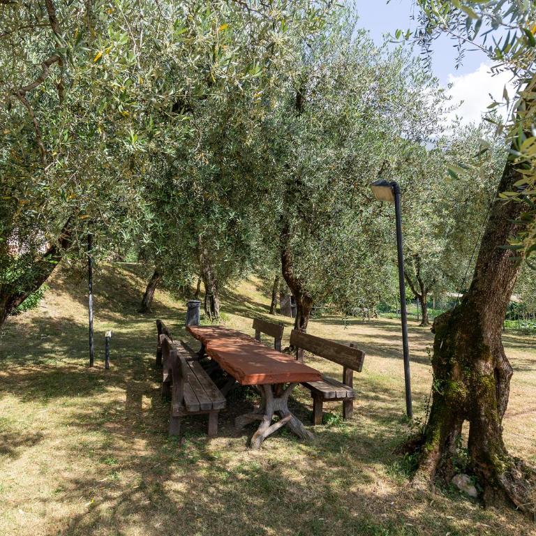 Apartament Kormorano - Appartamento - 26