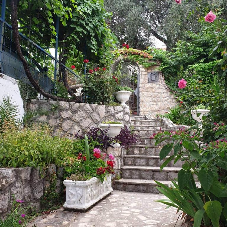 Apartman Veliki Pijesak - Apartman sa 1 Spavaćom Sobom - 1