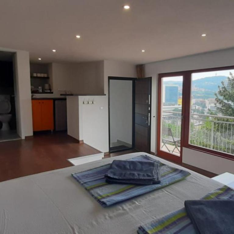 Beautiful View Of Sarajevo Center - Deluxe Studio - 14