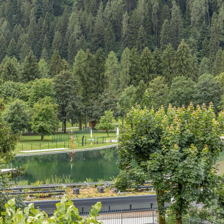 Chalet Mountain Plaza - Apt Greenvalley - Appartamento con 1 Camera da Letto - 14