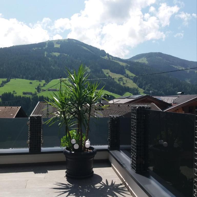 Haus Raimund " KLEIN aber FEIN " - Apartment mit Blick auf die Berge - 48