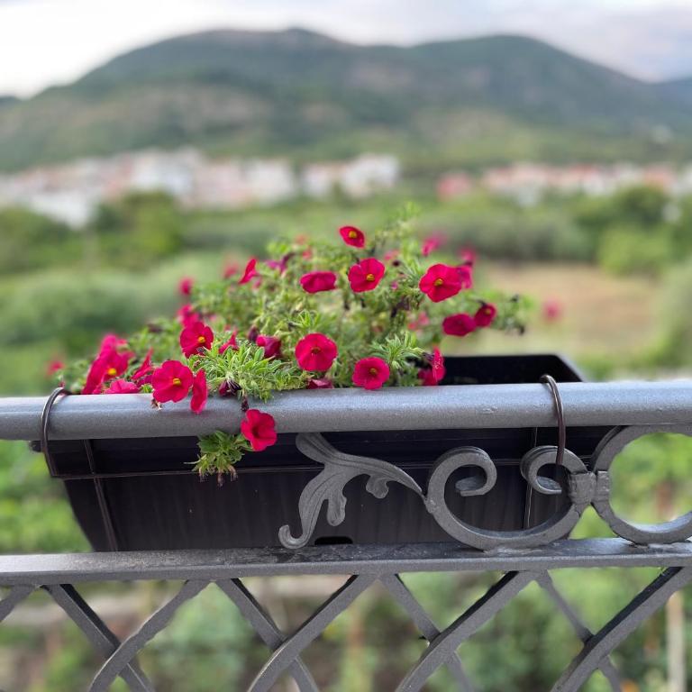 Petivat Gardens - Apartman sa Pogledom na Vrt - 23