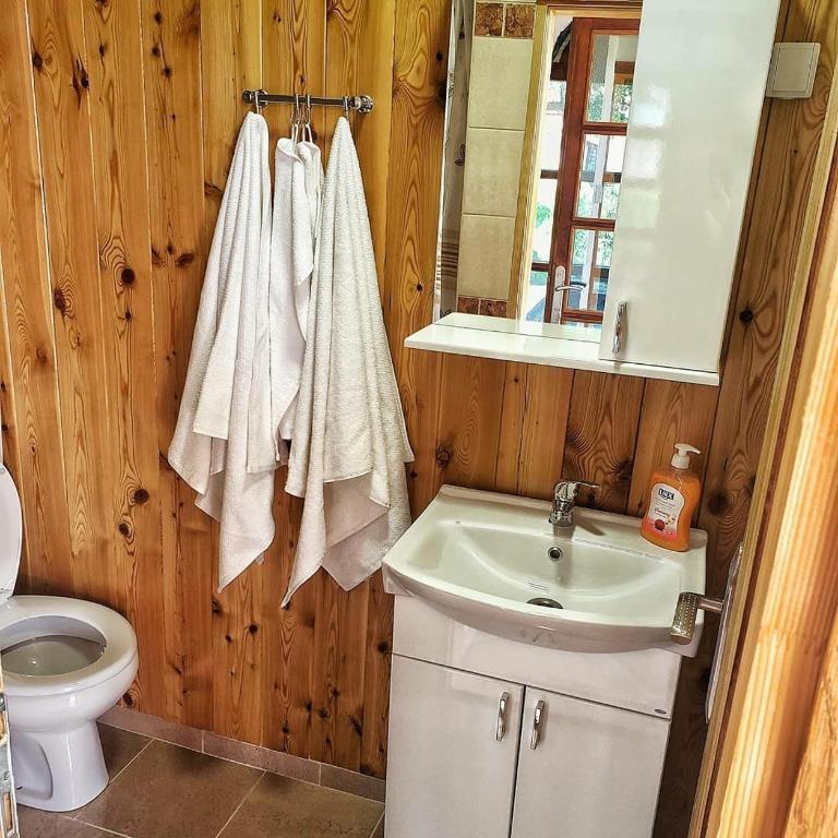 Apartmani Vila Vjerra - One-Bedroom Apartment - 6