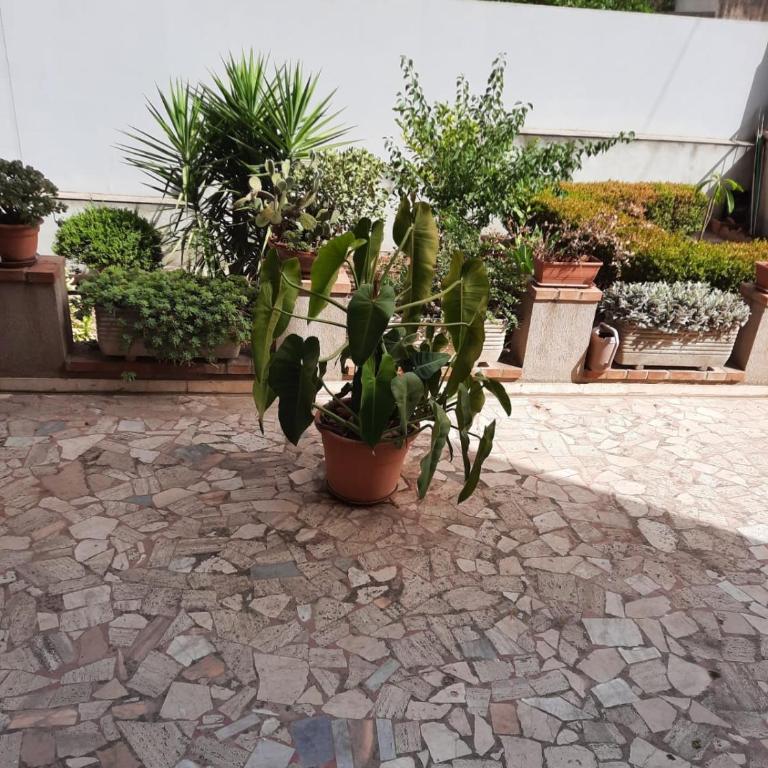 Casa vacanze LE PALME NETINE - Appartamento con 1 Camera da Letto - 7