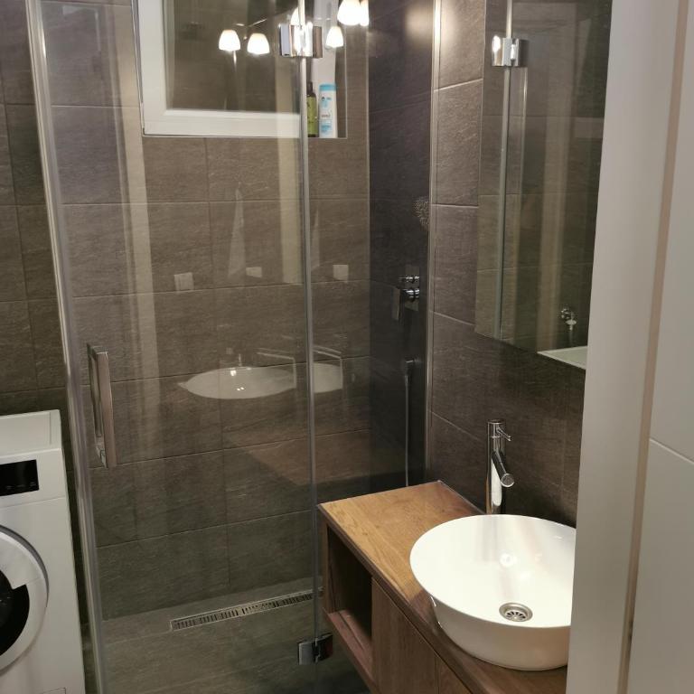 Apartman Jovana 2 - Apartman sa 1 Spavaćom Sobom - 19