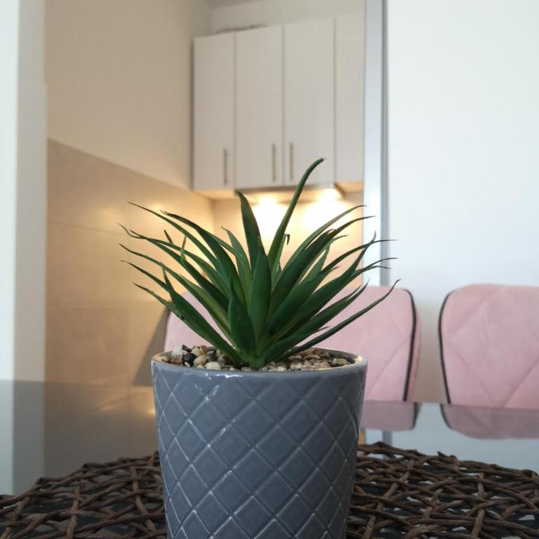 Apartman Alina Comfort - Apartman sa 1 Spavaćom Sobom - 11