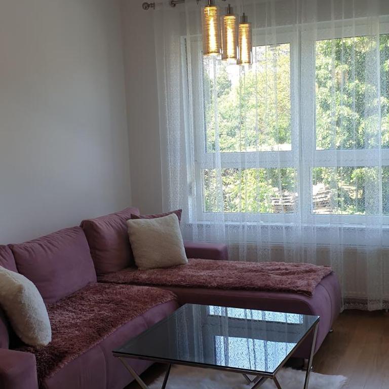 Apartman Alina Comfort - Apartman sa 1 Spavaćom Sobom - 16
