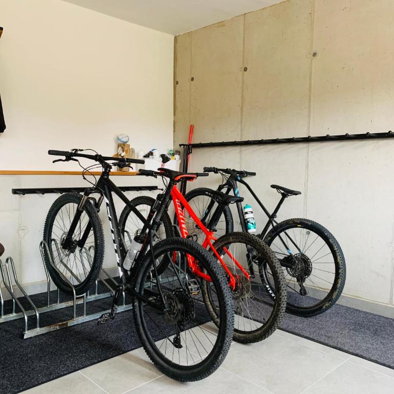 Bergkristallhaus - Studio - 10