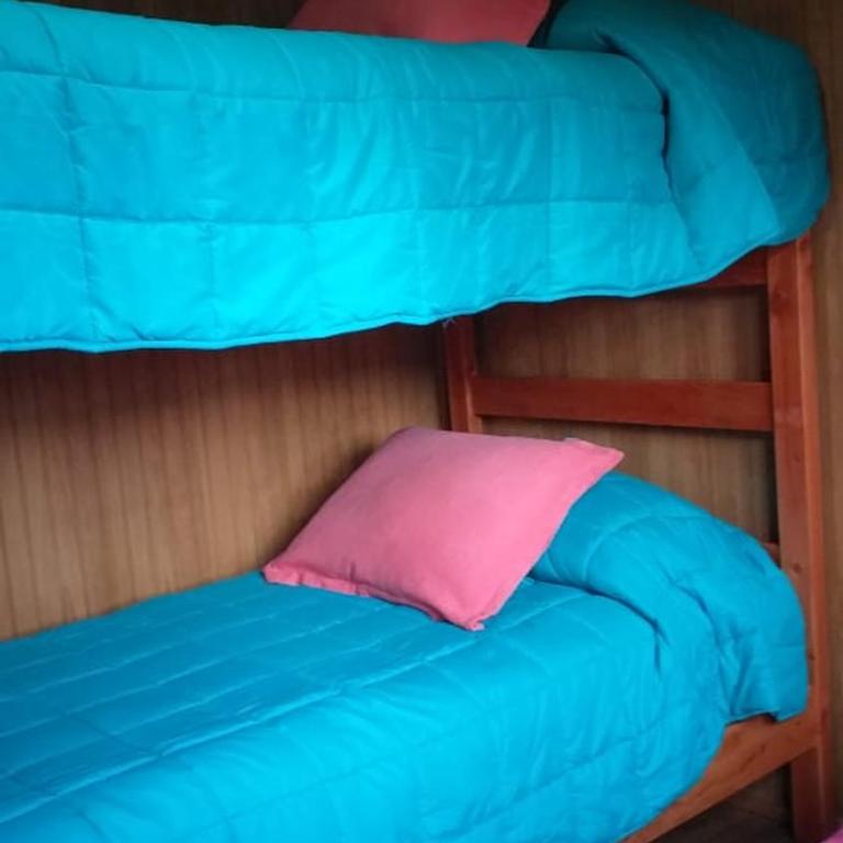 Dos Oregones Caburgua - Two-Bedroom House - 10