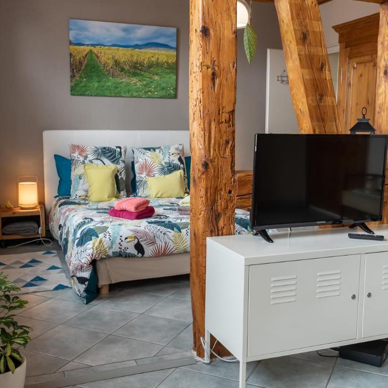 Le Schwendala - Quartier Petite Venise - Studio Apartment - 15