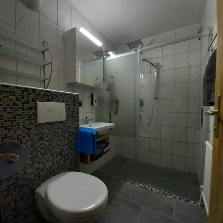 Appartement Wenger - One-Bedroom Apartment - 10