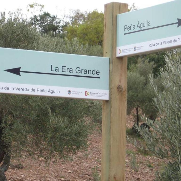 Cortijo "Era Grande 2" - Casa Unifamiliar de 3 dormitorios - 32