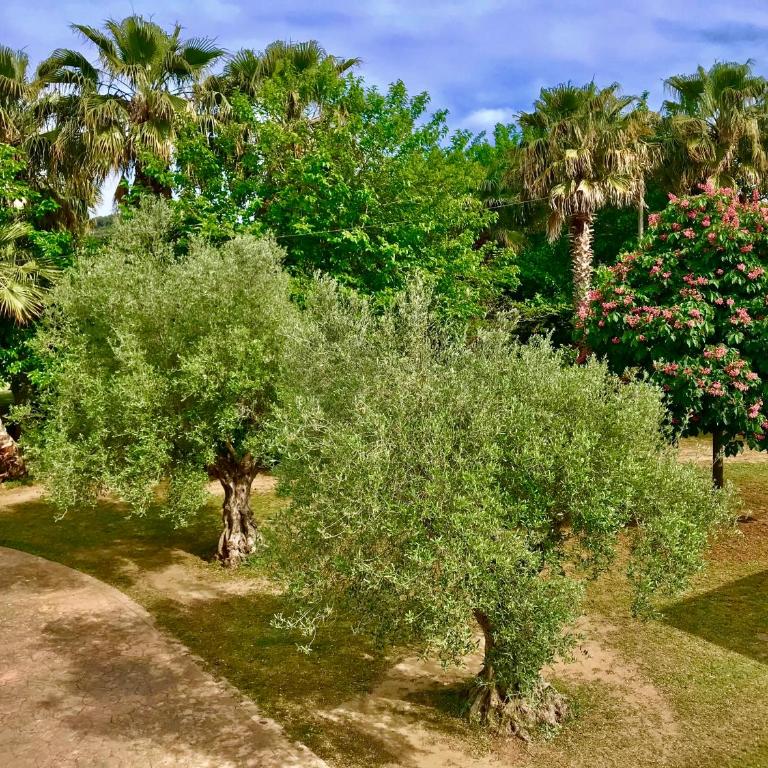 Villa Mediterráneo • Piscina Privada • A/C • BBQ • WIFI - Villa - 14
