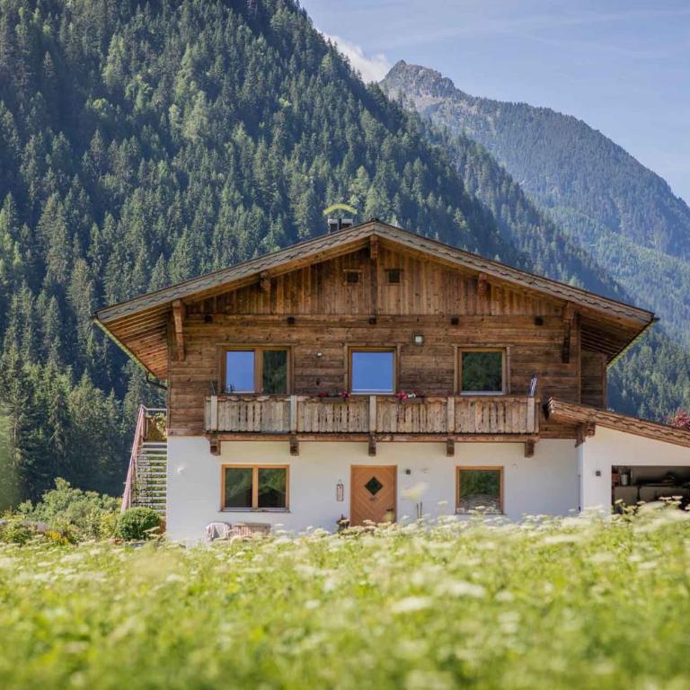 Landhaus Gletscherstern - Apartment - 2