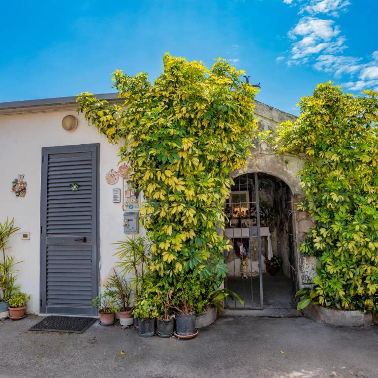Nives Bed & Breakfast - Camera Tripla con Bagno Privato - 18
