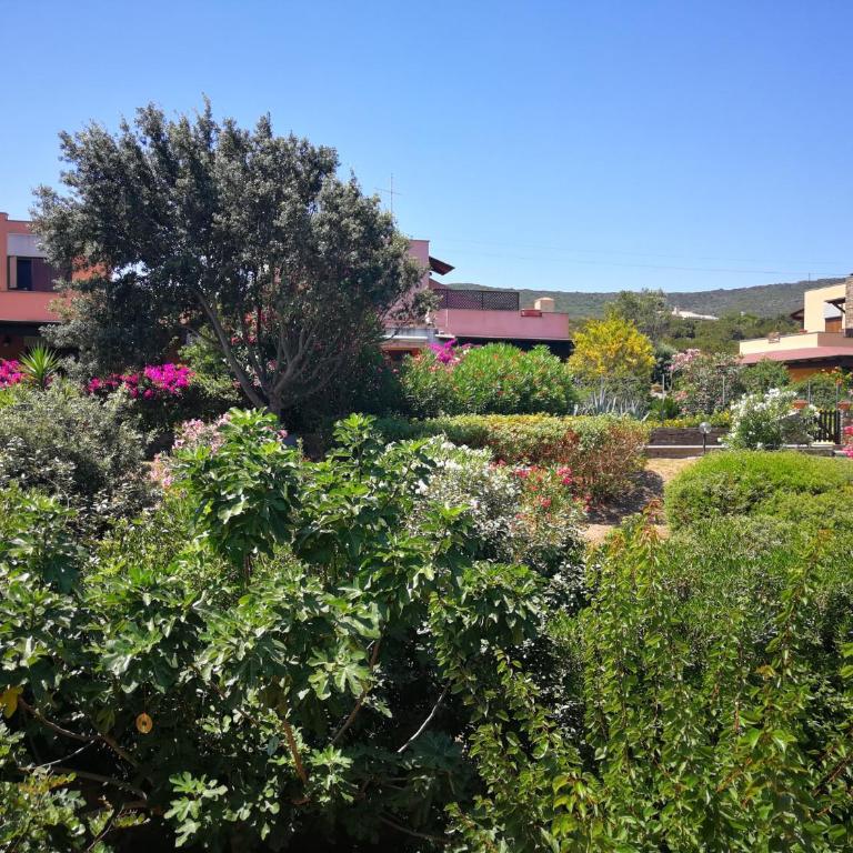 Villa La Pelosa Stintino - Casa con 3 Camere da Letto - 15
