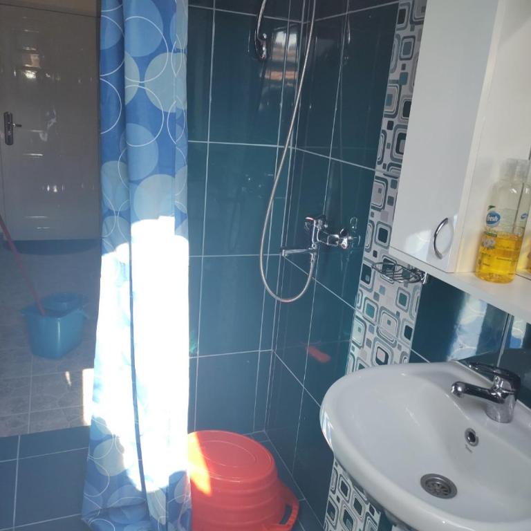 Apartmani Mile - Apartman sa 1 Spavaćom Sobom - 5