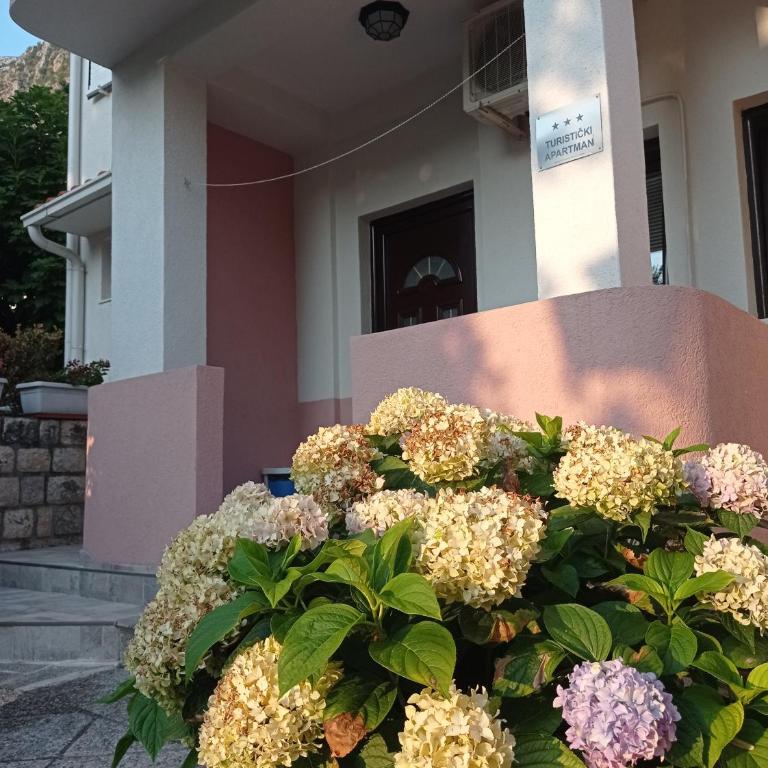 Apartments Dakovic M - One-Bedroom Apartment with Terrace - 17