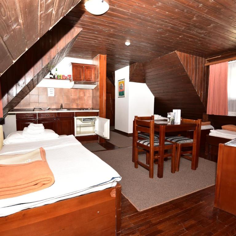 Apartments JAT Kopaonik - Duplex Studio - 5