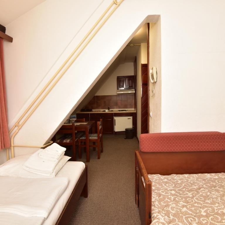 Apartments JAT Kopaonik - Duplex Studio - 9